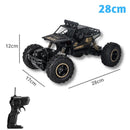 Carrinho de Controle Remoto 4x4