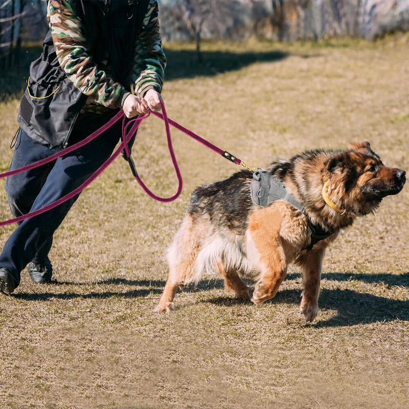 Guia Longo para Cachorro