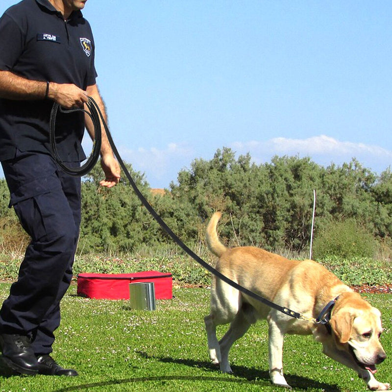 Guia Longo para Cachorro